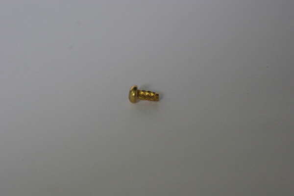 RIVET/HAMMER SCREW No 6 x 1/4" - CERTIFICATION PLATE - (ROUND HEAD) - GENUINE