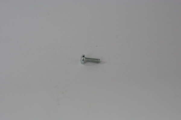 SCREW - BRAKE PLATE GAUZE SELF-TAPPING